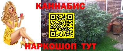 амф Шелехов