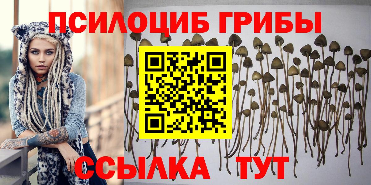 Галлюциногенные грибы мухоморы Великие Луки