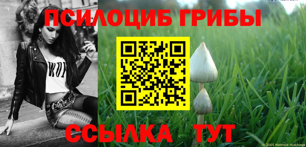 Псилоцибиновые грибы мицелий  Вход с VPN  Великие Луки 